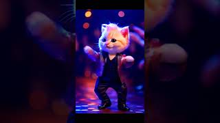 Disco Kitten Groove Cutest Dance Ever