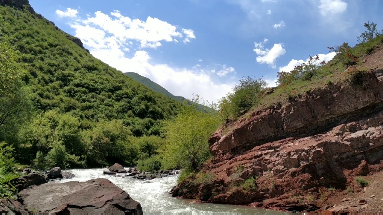 Сосновка киргизии Сосновка киргизии