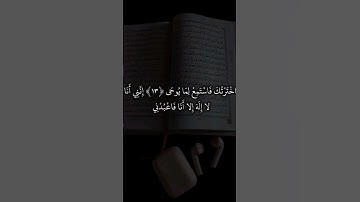 #quran #القرآن_الكريم #تلاوة_نادرة #تلاوة_مؤثرة #كرومات #تلاوة_خاشعة #تلاوات #الله #قرآن #إسلام #fyp