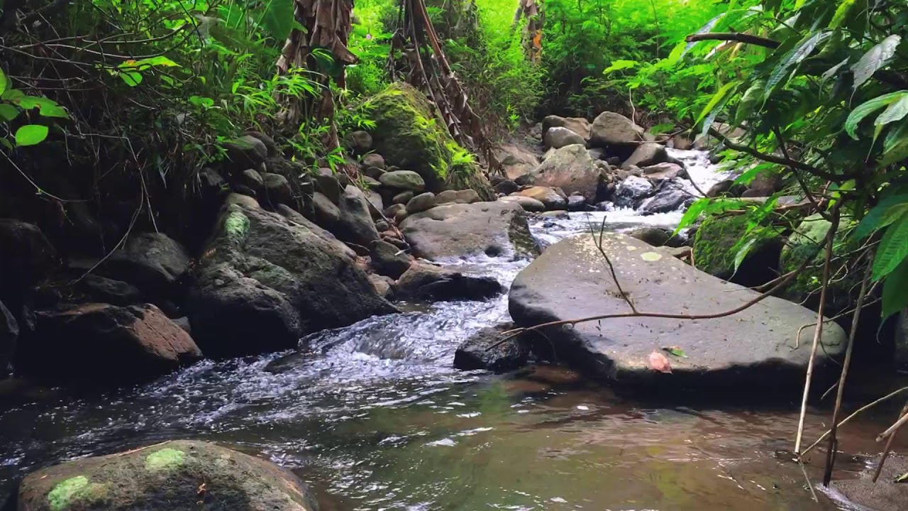 Beat Stress to Sleep Fast with Powerful River Sounds & Relaxing Cascading Water Through Forest Path