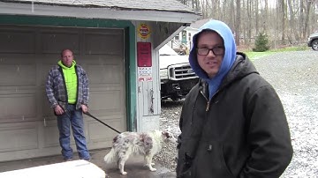 Another (72) Cub Cadet - Walkaround