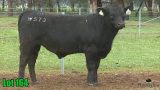 Lot 164 Rennylea NOR25W572