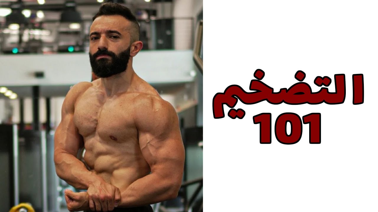 كل حاجة عن التضخيم | Bulking 101