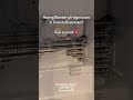 Blomberg Fridge Issues