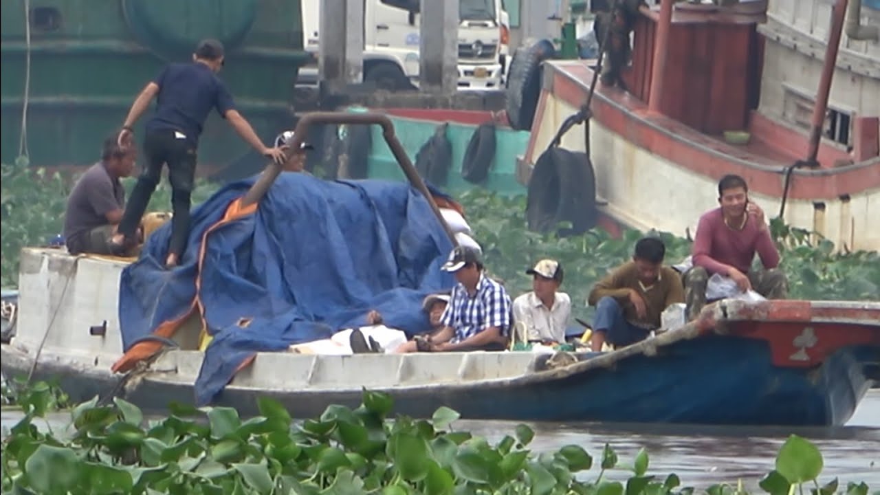 Cảnh thanh bình trên sông người dân làm ăn mua bán đầu năm