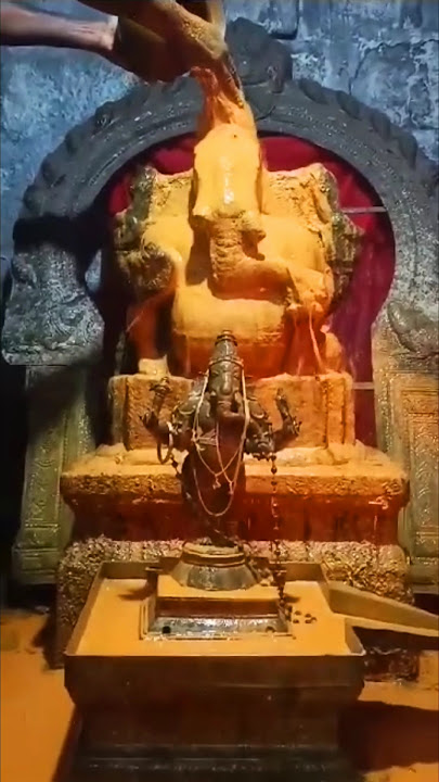 விநாயகர் அபிஷேகம் ஆராதனை | Vinayagar Abishegam Aarathanai #viral #shorts #vinayagar     #ganesh #god
