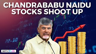 Stocks Owned By Chandrababu Soar As TDP Sweeps Andhra Pradesh Elections