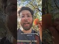 This fungi is very abundant in California in oak forests #foraging #oakland #sfbay #sanfrancisco