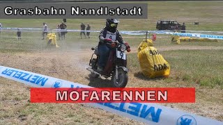 Mofas Auf Der Grasbahn