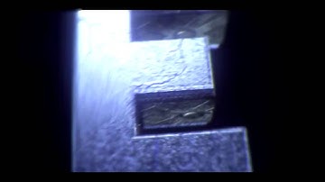 Leon Intro by sTeLy 50 Likes C4D Sync