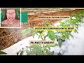 Calcio nella preparazione di base | Sovescio in autunno | Coltivazione Naturale Risposte [#02]