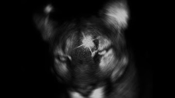 DAMAGE - STEAL MY HEART (SLOWED - OFFICIAL AUDIO)