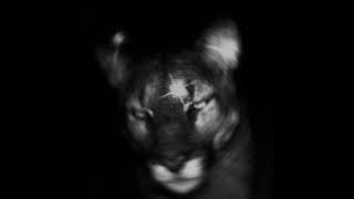 DAMAGE - STEAL MY HEART (SLOWED - OFFICIAL AUDIO)