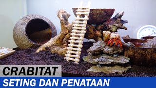 Cara Membuat Crabitat Sederhana untuk Kelomang Coenobita perlatus | DIY | Crabpedia