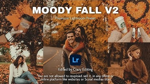 Moody Fall V2 - Moody Fall Preset | Autumn Lightroom Preset | Autumn Tone | Free Dng & Xmp Download