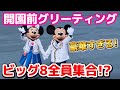【開園前限定】ビッグ8全員集合‼️ディズニーシー朝グリーティングの様子