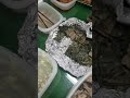 즐거운 점심시간
