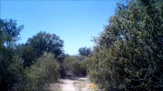 MTB Arroyomolinos-Mte.Batres-Móstoles