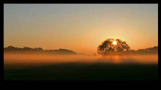 Ludovico Einaudi - Stella del mattino