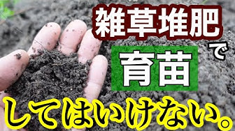 雑草堆肥 Youtube