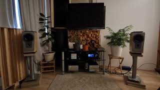 Dynaudio Contour S1.4 Avm M4 Eversolo A8 Geoff