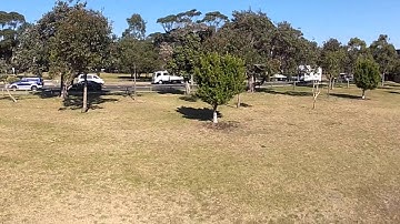 CX-20 Quadcopter + GL-3X Gimbal test