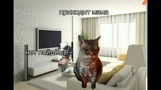 Мемные коты «Как я заболела» 2 часть  °Meme_cat° #мемныекоты