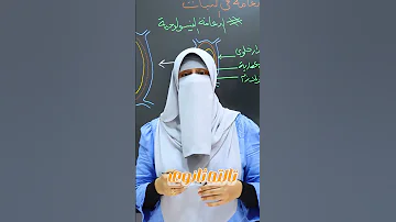 انطلاقه احياء ثانوية عامة 2025 شرح الدعامة فى النبات كاملة على القناة اكسبلور Biology 