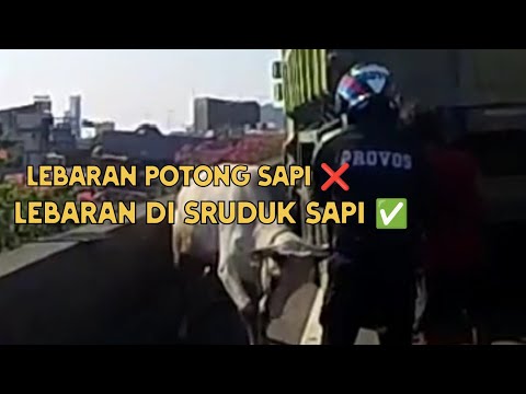 Video: Pelanggaran apa saja yang berbeda?