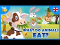 Understanding Animal Diets