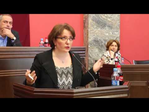 თინათინ ხიდაშელის  ანგარიში თავდაცვისა და უშიშროების კომიტეტში