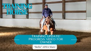 Bella the Paint horse training update and progress report