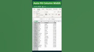 Auto Fit Column Width Instantly in Excel