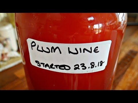 Video: Vilken frukt är huvudingrediensen i slivovitz-brandy?