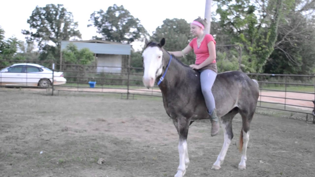 Texas Cowboy's Video YouTube