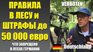 картинка: Курение, рыбалка, мусор, костры и др. Что запрещено в лесу Германии.
