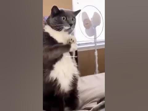 Улыбнуло...🤩 - YouTube