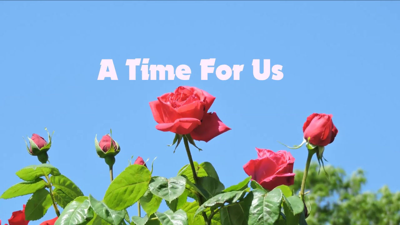 A Time For Us ロミオとジュリエット の愛のテーマ 日本語に訳してcover 歌詞付 Youtube