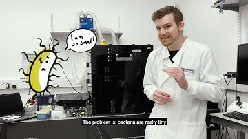 Standing ovation: innovative nanofabrication for imaging of bacterial division proteins in high-res