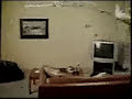 flying cat