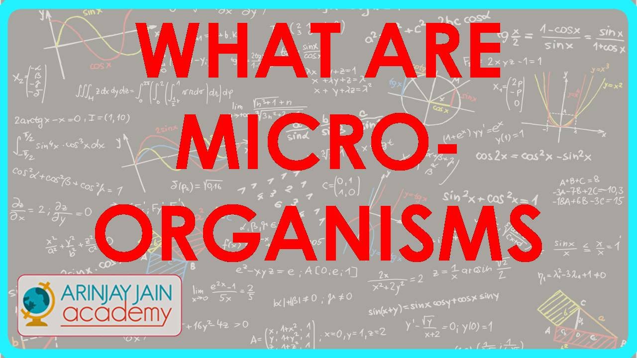 What are microorganisms -  Microorganisms - Biology - Science - ICSE, CBSE