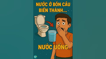 Nước thải sinh hoạt sẽ đi về đâu sau khi xả? Sự thật không ngờ tới!