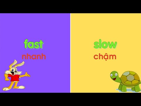 Video Học từ vựng tiếng Anh - Các cặp từ trái nghĩa trong... - youtube