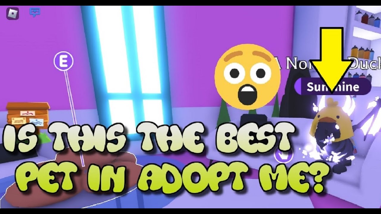 Is THIS The Best Pet On Adopt Me?! YouTube