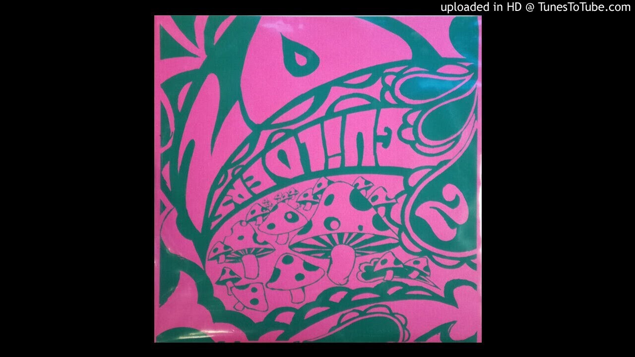 20 Guilders - KOTODAMA [2017]