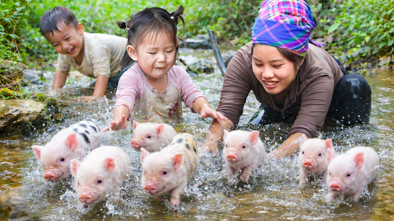 Ibu Tunggal Membesarkan Anak dengan Cinta – Menangkap Ikan & Ternak Babi Tanpa Takut Susah