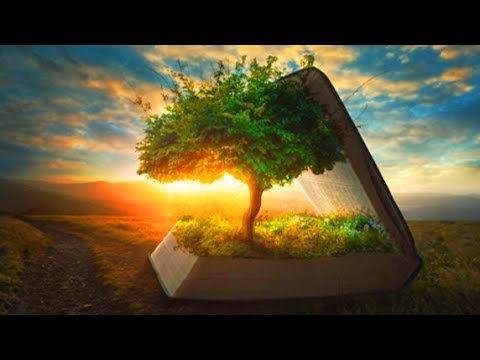 28 Day Change Your Thoughts Manifest New Reality Guided Sleep Meditation