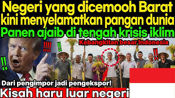 [Kisah haru luar negeri] Pertanian Indonesia, dari ejekan menjadi penyelamat dunia