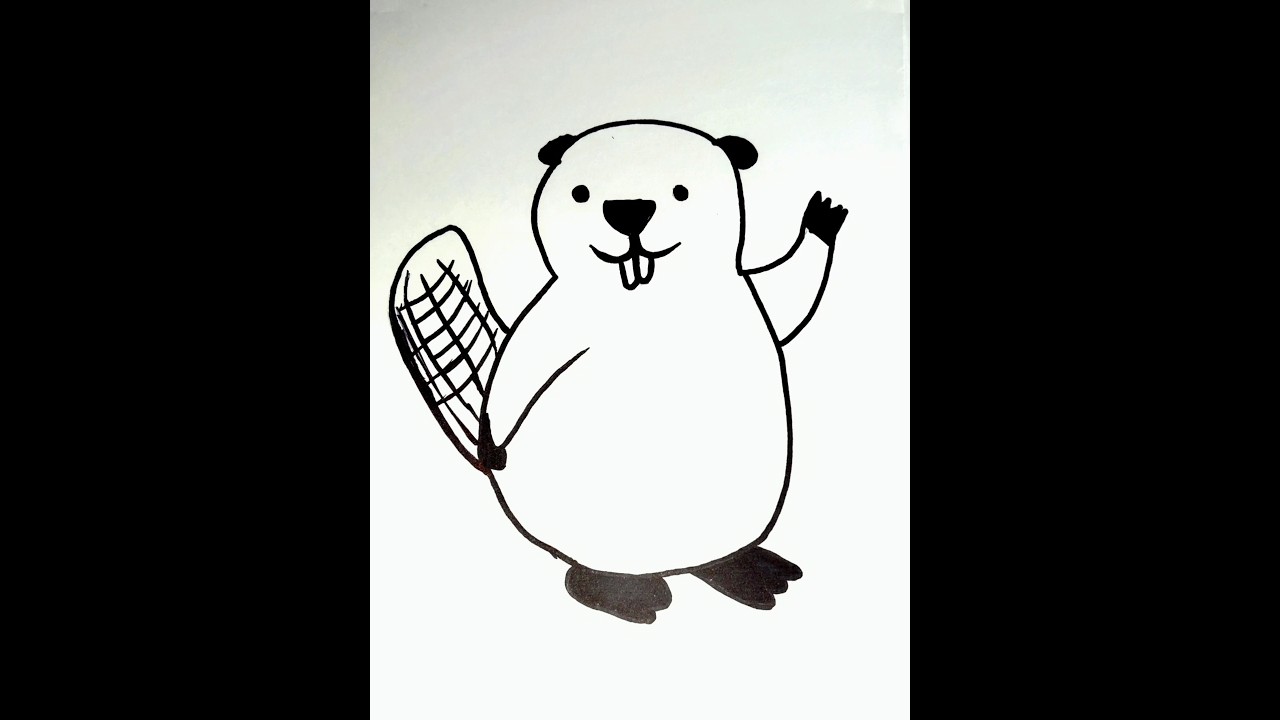 Funny Beavers Drawing | How To Draw A Beaver | 