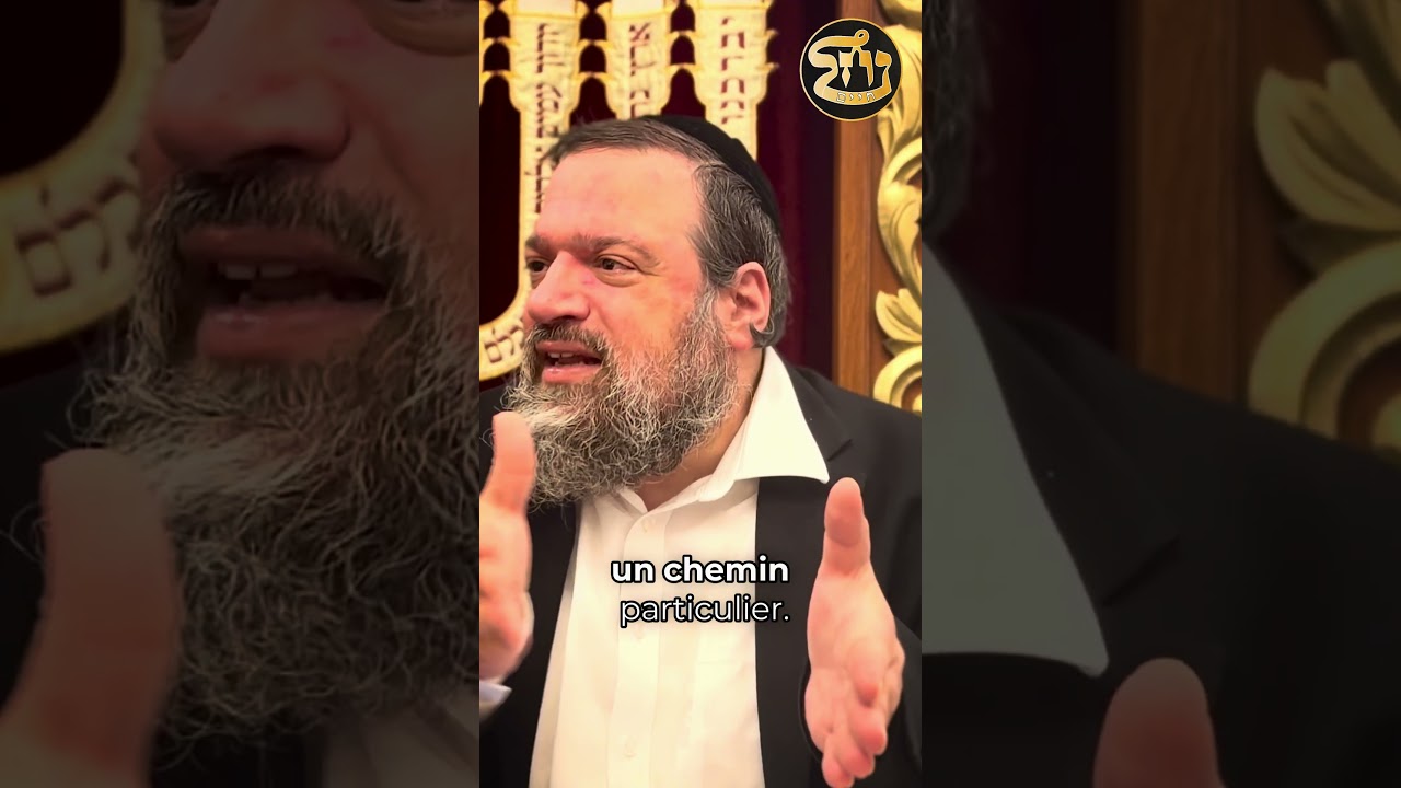 Ta mémoire t’empêche d’innover ! LM, Torah 246 | #breslev #torah #rabbinahman #hassidout #innovation